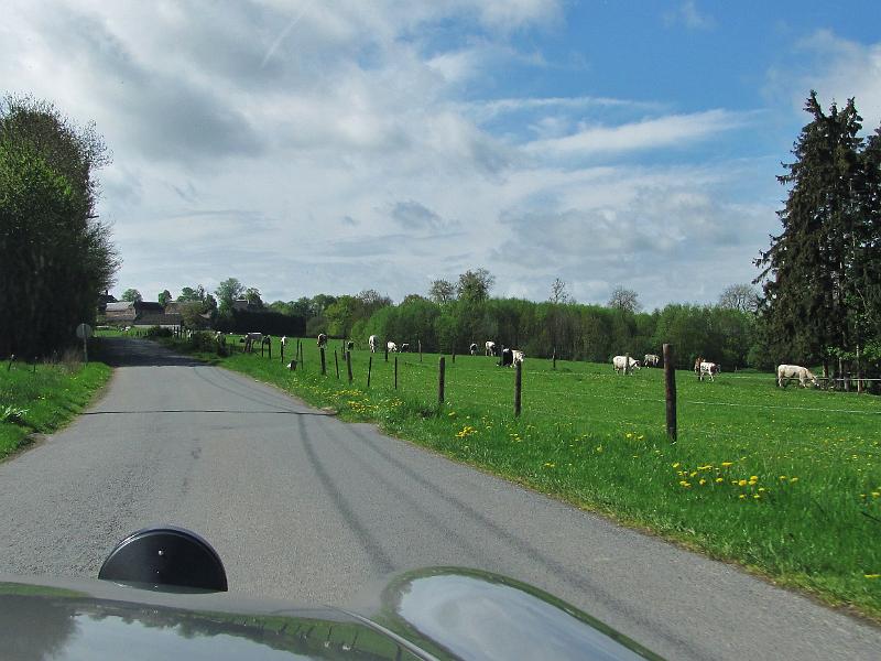 1st Belgian Octagon Tour (88).JPG